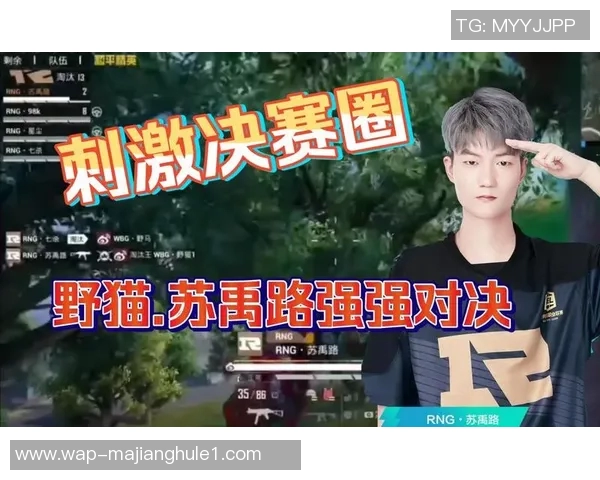 和平精英巨献揭秘RNG战队个人能力与团队协作的完美结合