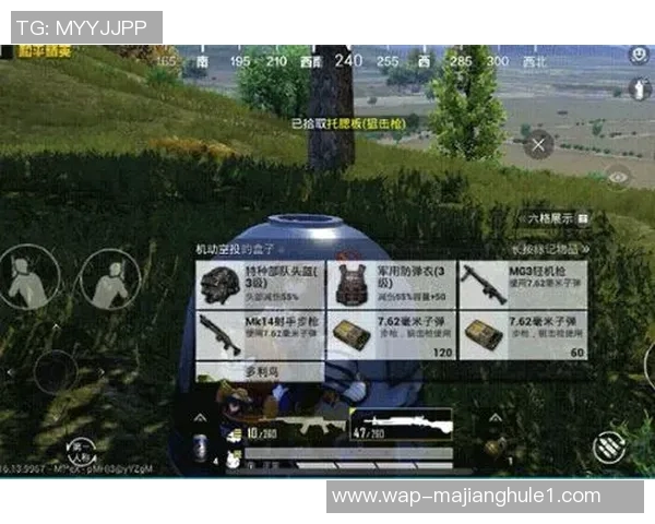 最新和平精英战术解析TOP10WE团队领跑全场攻略